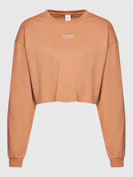 Reebok - Pánské dlouhý rukáv CL WDE