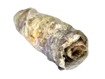 LK Baits Pet Luxusní Rybí Croissant z Kůže Okouníka 20g,1ks