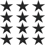 12Pcs Star Shape Cloth Embroidery Applqiues
