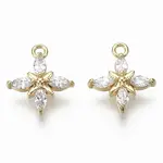 Brass Micro Pave Clear Cubic Zirconia Charms