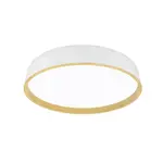 STROPNÍ LED SVÍTIDLO, 50/8 cm