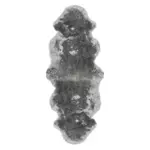 OVČÍ KOŽEŠINA, 60/180 cm,