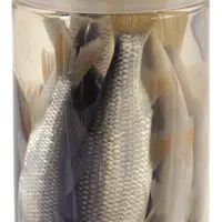 Albatros nástražní rybičky v nálevu roach plotice 10/12 cm 8 ks