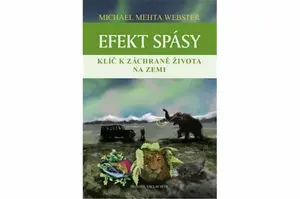 Efekt spásy - Michael Mehta Webster