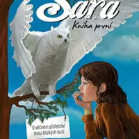 Sára. Kniha první - Jerry Hicks, Esther Hicks