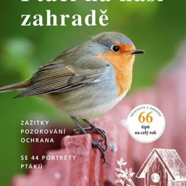 Ptáci na naší zahradě - Zážitky, pozorování, ochrana - Daniela Straußová