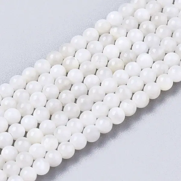 Natural Freshwater Shell Beads Strands