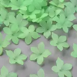 Frosted Acrylic Bead Caps