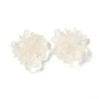 Transparent Resin Cabochons