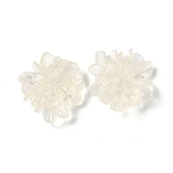 Transparent Resin Cabochons