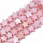 Freshwater Shell Beads Strands