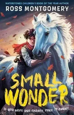 Small Wonder - Ross Montgomery