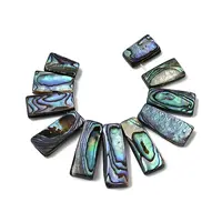 Natural Paua Shell Beads Strands