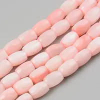 Natural Freshwater Shell Beads Strand