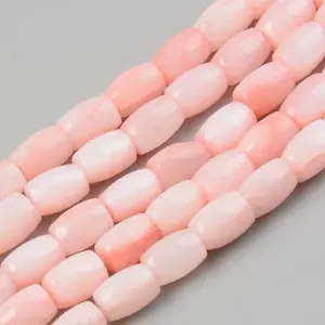 Natural Freshwater Shell Beads Strand
