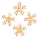 Transparent Acrylic Beads