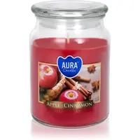 BISPOL Premium Line Apple - Cinnamon vonná sviečka 500 ml