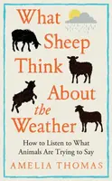 What Sheep Think About the Weather - Amelia Thomas