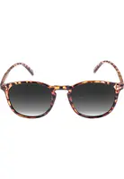 Slnečné okuliare Arthur Youth havanna/sivé