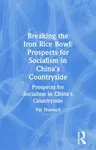 Breaking the Iron Rice Bowl - Pat Howard