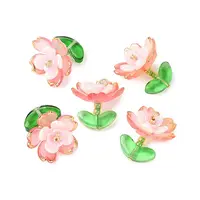 Transparent Acrylic Pendants