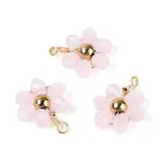 Glass with 304 Stainless Steel Pendants