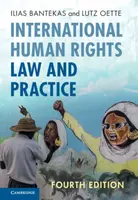 International Human Rights Law and Practice - Ilias  Bantekas, Lutz  Oette