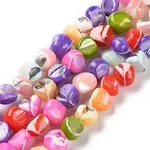 Natural Trochus Shell Dyed Beads Strands