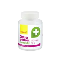 WOLFBERRY Ostropestřec mariánský 120 kapslí