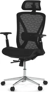 AUTRONIC Kancelářská židle KA-S258 BK, černá, síťovina