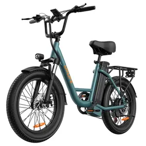 URLIFE E20 Electric Bike 250W 48V 13Ah 25km/h Green