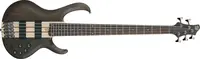 Ibanez BTB605 Transparent Gray