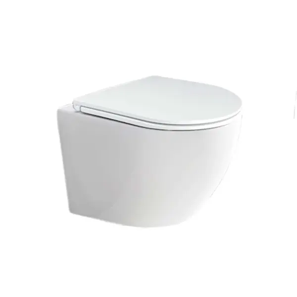 Mereo Keramika - Závesné WC s doskou SoftClose, Rimless, biela VSD82S