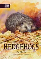 Hedgehogs - Pat Morris