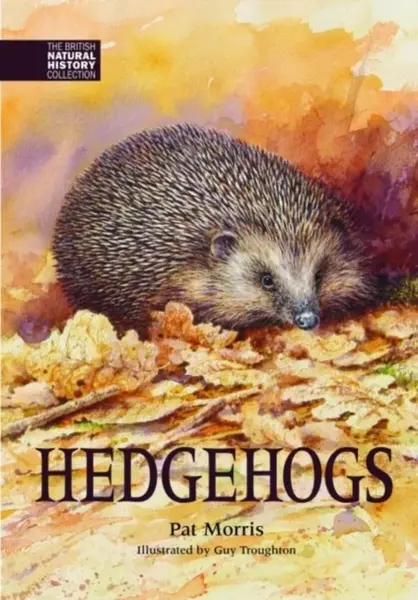 Hedgehogs - Pat Morris