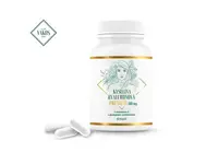 Kyselina hyaluronová PREMIUM 300mg s vitaminem C 60 kapslí