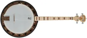 Deering Goodtime Two 17-Fret Tenor