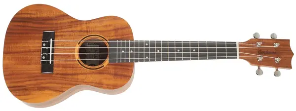 Tanglewood TWT8