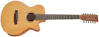 Tanglewood TR412CE