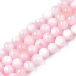 Natural Freshwater Shell Beads Strands