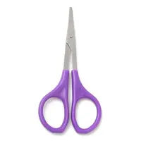 Stainless Steel Scissors