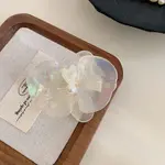 Acrylic Claw Hair Clips