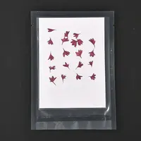 Cornflower Embossing Dry Flower