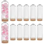 Glass Dome Cloche Cover