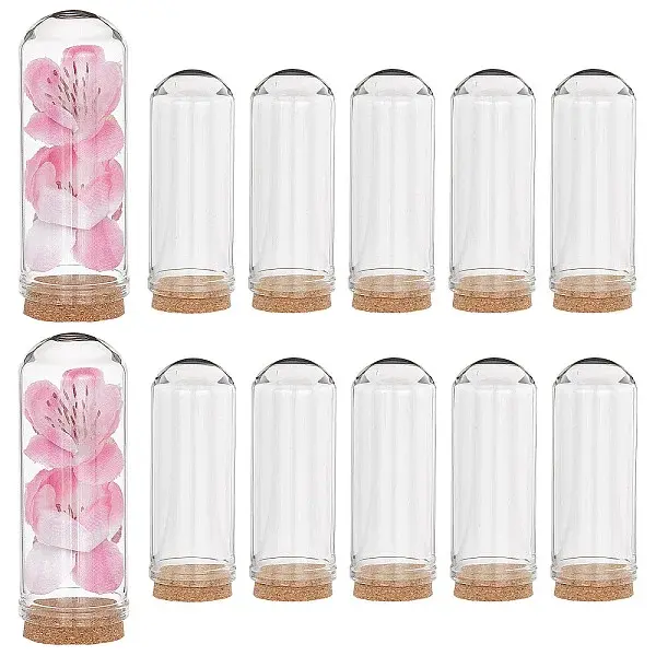 Glass Dome Cloche Cover