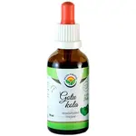 Salvia Paradise Gotu kola bezalkoholová tinktura tinktura pro podporu činnosti nervové soustavy 50 ml
