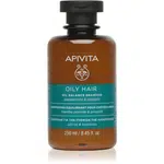 Apivita Oily Hair Oil Balance Shampoo hloubkově čisticí šampon pro mastnou pokožku hlavy pro posílení a lesk vlasů 250 ml