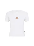 DICKIES Tričko 'MAPLE VALLEY'  biela