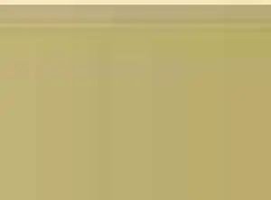 Pastel Caran d'Ache Neocolor II 035 Ochre