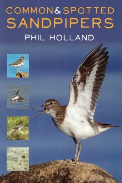 Common and Spotted Sandpipers - Phil Holland